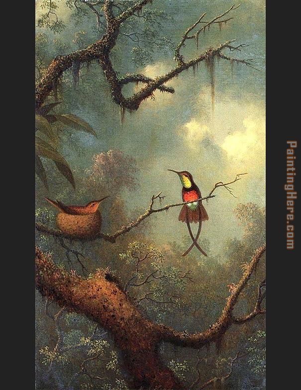 Martin Johnson Heade Hummingbirds 1870